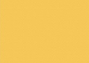 bransys-group-брансис-групација