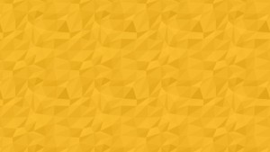 bransys-group-брансис-групација