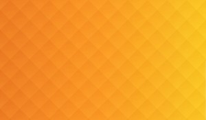 bransys group-bransys-software developmen