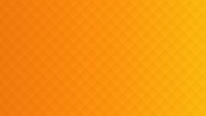 bransys group-bransys-software developmen