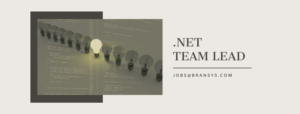 .NET Team Lead