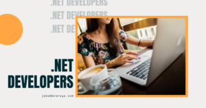 .Net developers-team lead
